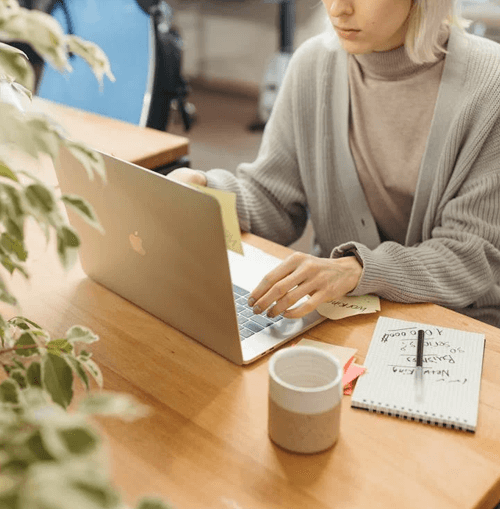 Asil Finspirex destek eki̇bi̇ i̇llüstrasyonu